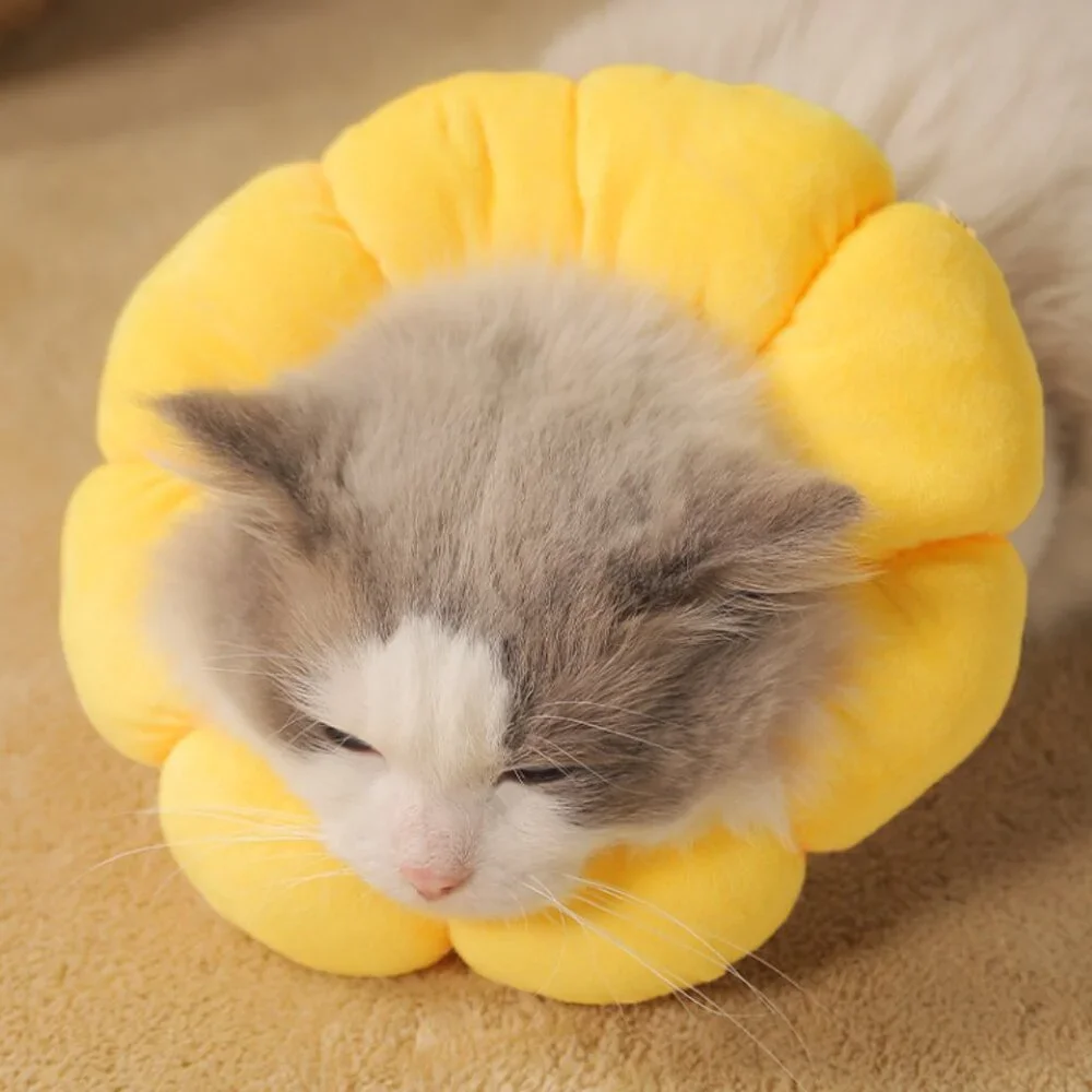 Cat Small Dog Recovery Collar Cute Sunflower Neck Cone After Surgery, Adjustable